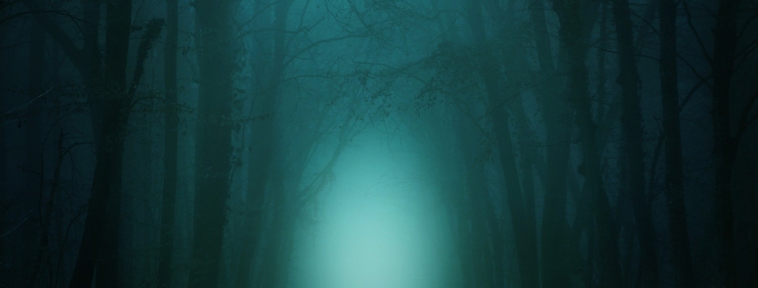 paura paesaggio nebbia